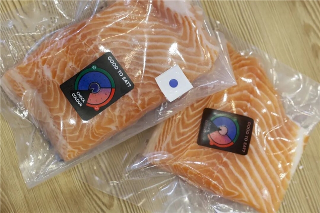 interpack China接力全球倡议:2026 SAVE FOOD奖揭晓,第六届中国站11月启航