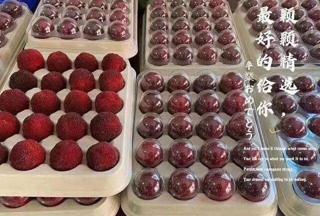 纸浆模塑已攻占人类生活的每个角落!