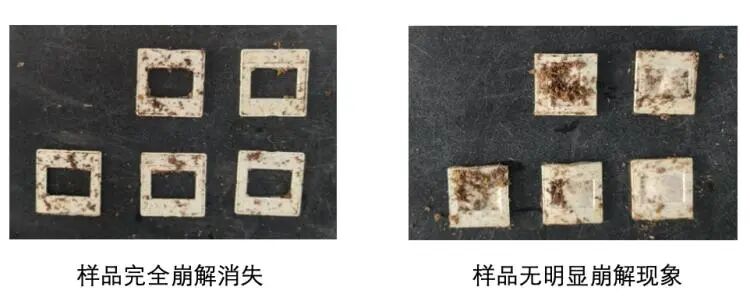 上海消保委测评:五款可降解一次性杯不达标!