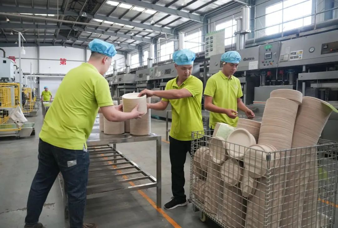 从糖业废料到纸“黄金”:广西50万吨蔗渣的绿色转型!